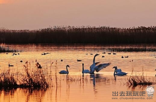 内蒙巴彦淖尔乌拉特前旗乌梁素海一日游旅游攻略