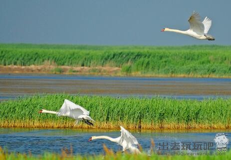 内蒙巴彦淖尔乌拉特前旗乌梁素海一日游旅游攻略