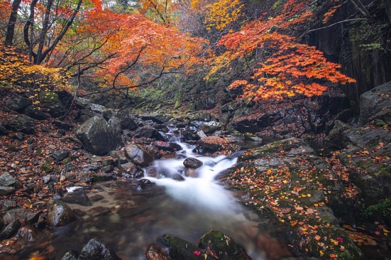 八月份四川什么天气-八月份的四川什么天气